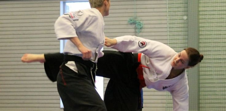 Taido para Perda de Peso: O Guia Definitivo da Arte Marcial Japonesa que Emagrece, Define o Corpo e