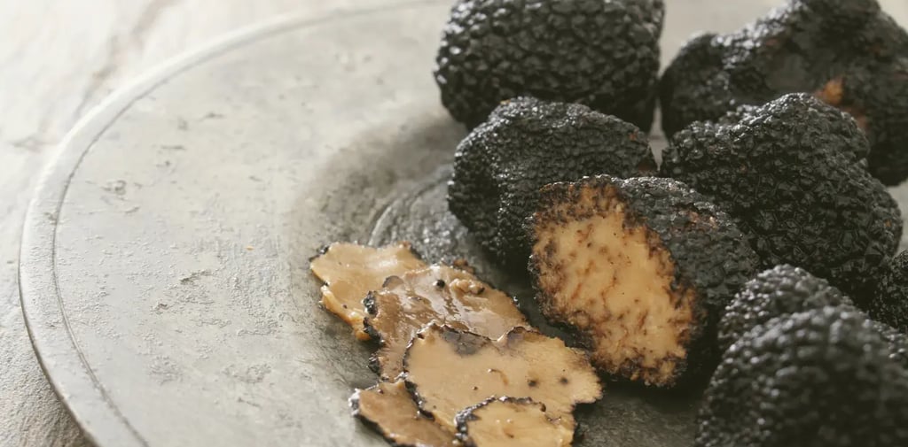 Fresh white truffles displayed at San Miniato Truffle Festival in Tuscany