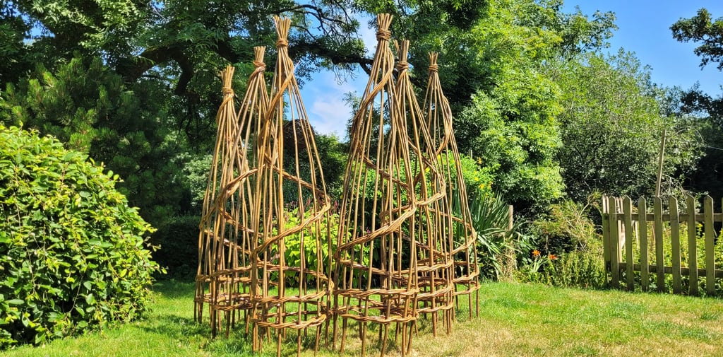 Woven willow garden obelisks used as climbing plant supports or for event decorations