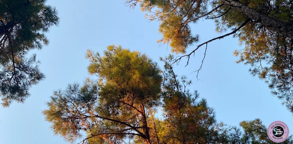 Things to be grateful for Soul Sisters Tarot