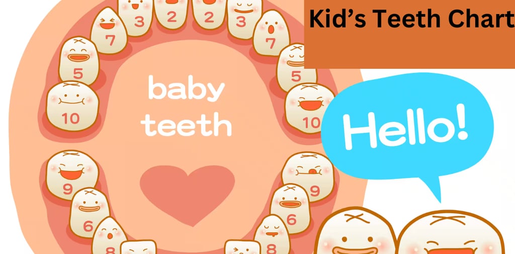 a image showing kids teeth chart