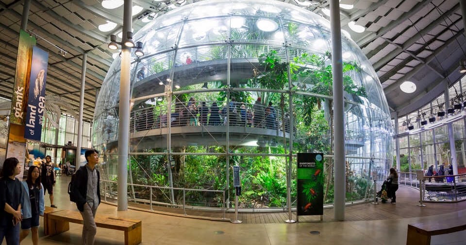 Is Net Zero Energy Building Net Zero Carbon as Well?