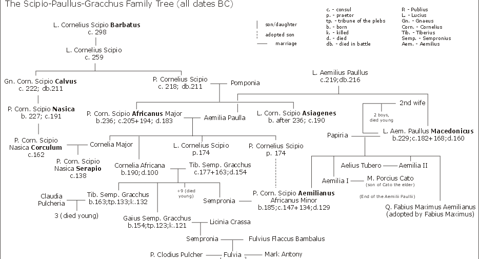 arbol genealogico de los escipiones