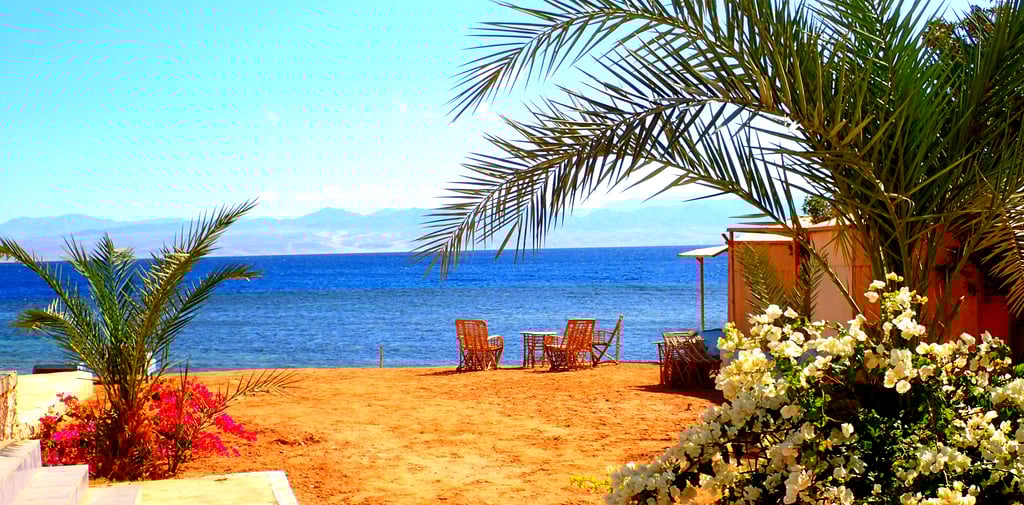 View of the beach flowers and sea at Bedouin star Ras shitan