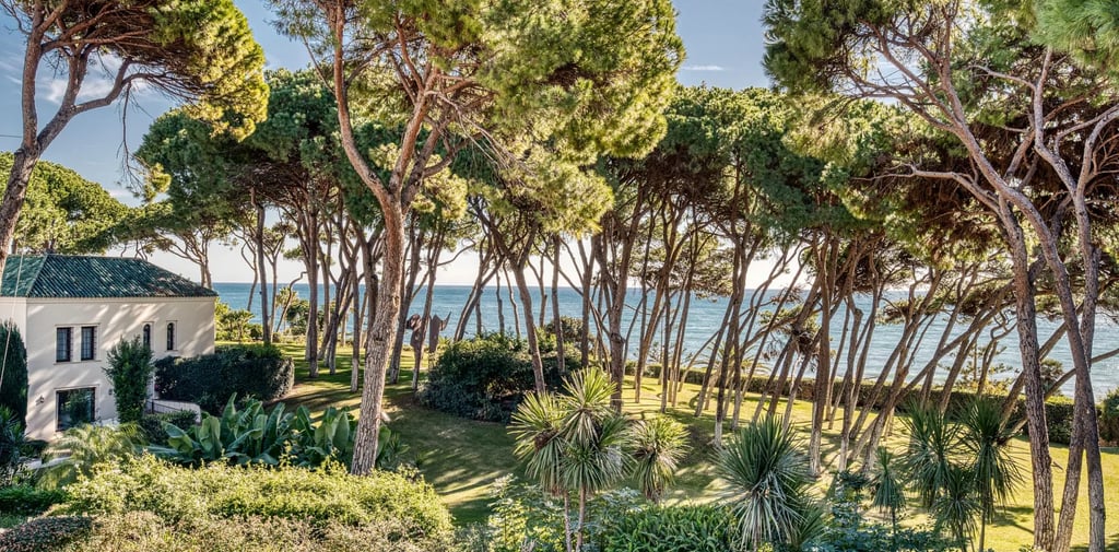Private beachfront estate with manicured gardens and pine grove