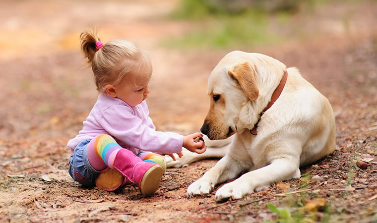 a baby girl sitting on the ground with her dog