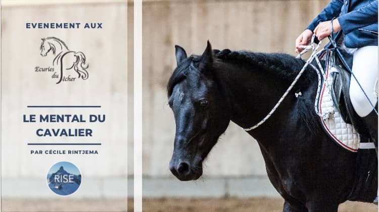 Équitation près de Genève, Les Écuries du Pêcher