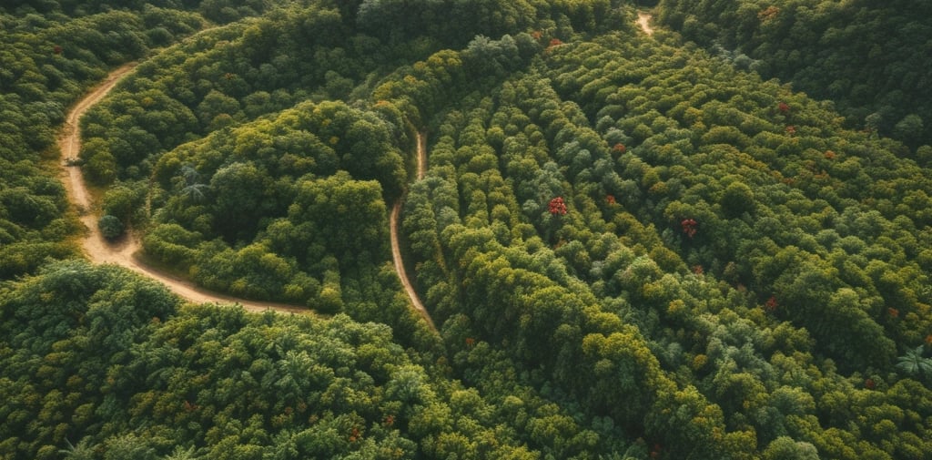person pouring brown liquid on clear drinking glass
