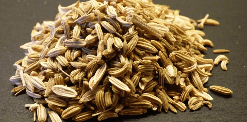 Suplemento de Funcho em Cápsulas: o que é, para que serve