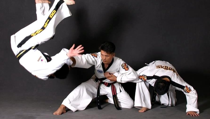 Hapkido para Perda de Peso: O Guia Completo da Arte Marcial Coreana que Define o Corpo e a Mente
