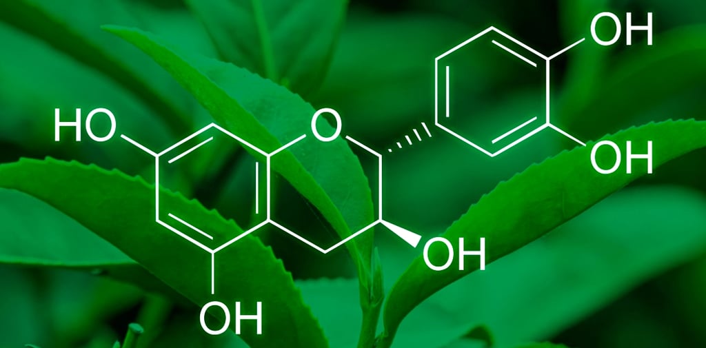 Hojas de te verde y representación química de catequinas