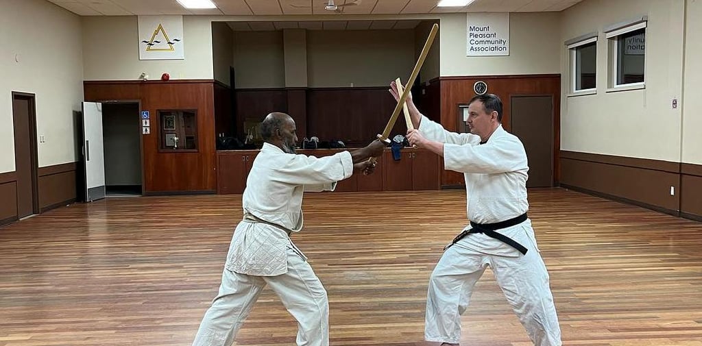 practicing kenjutsu with long and short bokuto in Mount Pleasant dojo