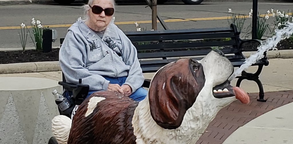 Lady at a park in a wheelchair