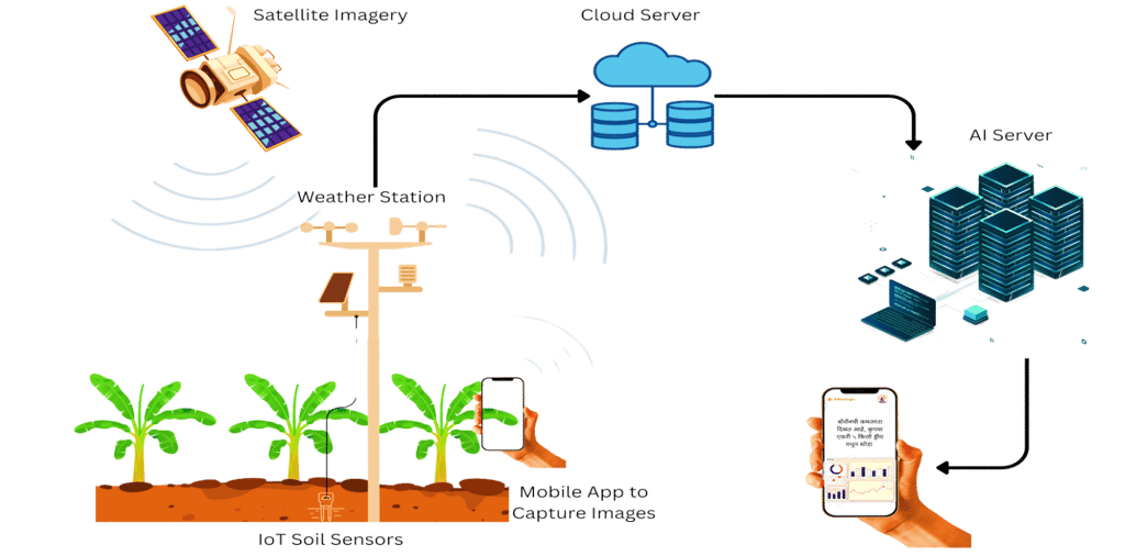 GMM Fruits Indian Bananas