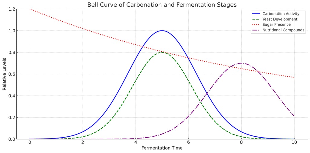 Bell Curve of Carbonation and Fermentation Stages for Ginger Bug. 