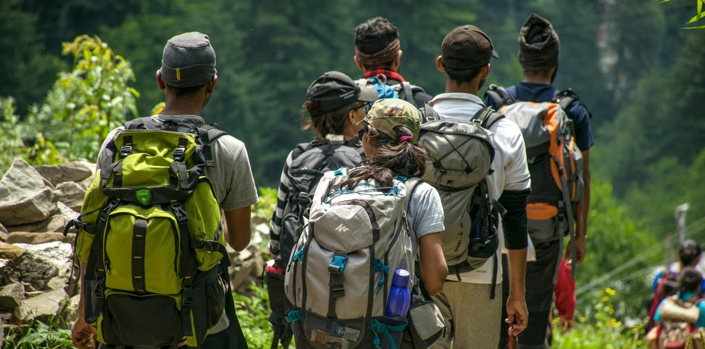 Photo by Guduru Ajay bhargav: https://www.pexels.com/photo/people-walking-on-road-near-trees-at-dayt