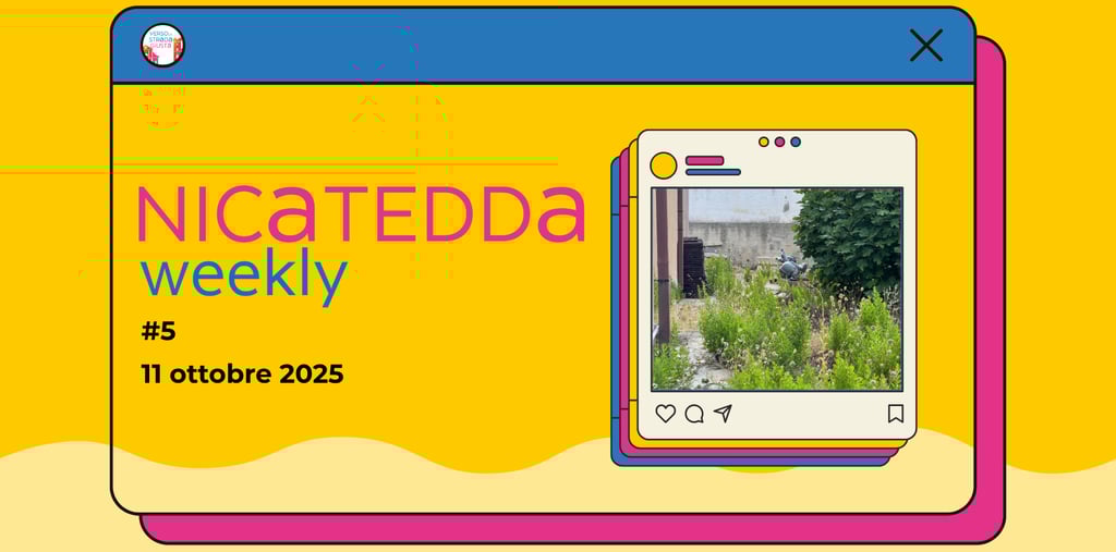 copertina newsletter settimanale di alex borsci consigliere comunale a monteparano nicatedda weekly