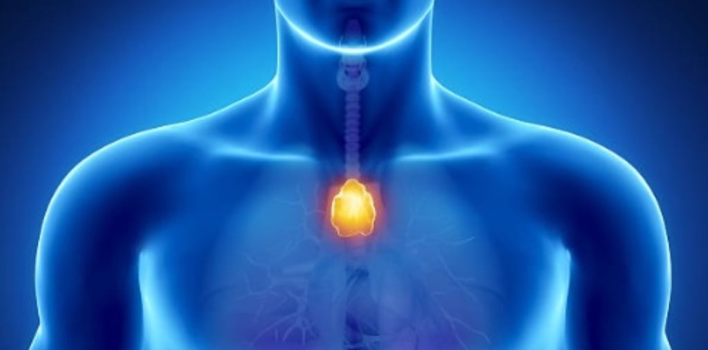 Lymphatic massage - thymus gland body power center - Harmony massage Wioletta Soliwoda Wroclaw