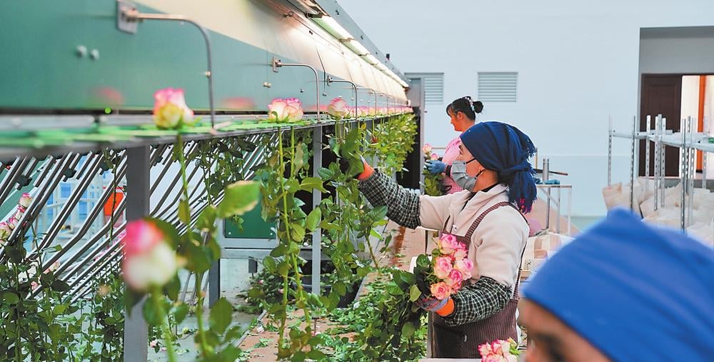 Kunming Flower market