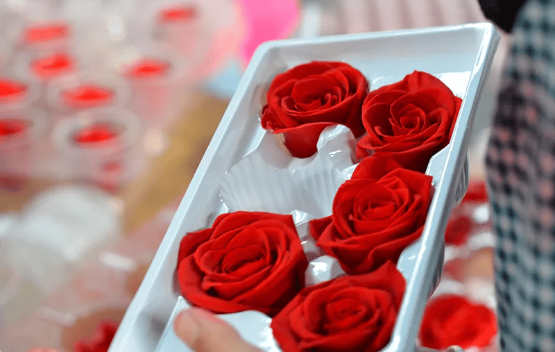 preserved rose head