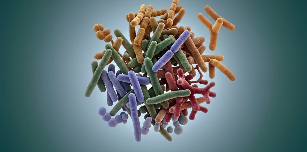A colorful 3D rendering of diverse probiotic bacteria species and gut microbiome microorganisms.