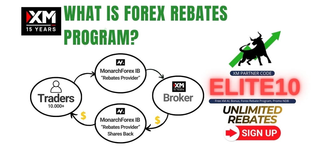 what is forex rebate program