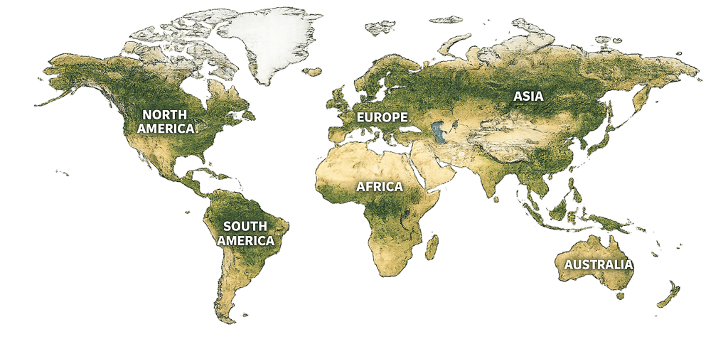 World Map