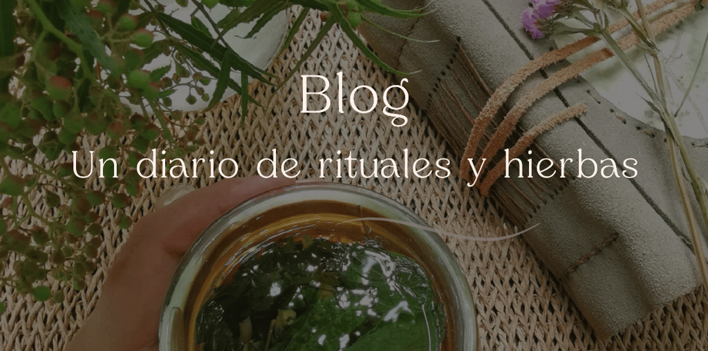 diario artesanal y mano sosteniendo una taza con infusión