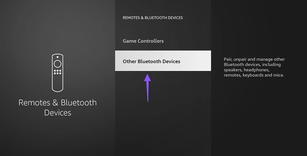 Amazon Fire TV Settings Menu with other Bluetooth devices Option Highlighted