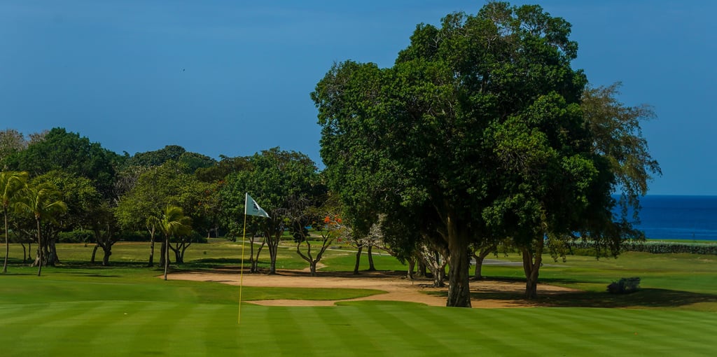 Teeth of the Dog golf course in Casa de Campo, La Romana, Dominican Republic with ocean views and lush fairways