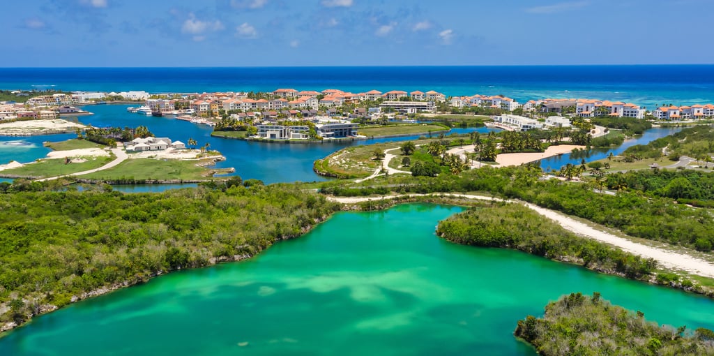 aerial view of marina in cap cana