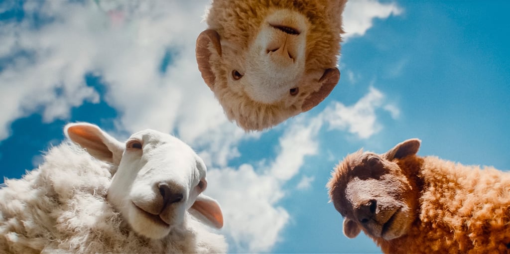 Low angle view of three fluffy sheep looking down from a bright blue sky with white clouds.