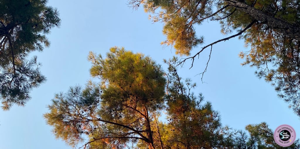 Things to be grateful for Soul Sisters Tarot