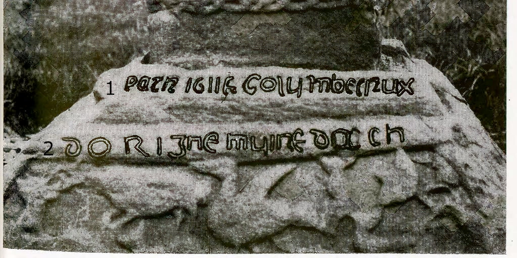 Kells Runestone 587  - Barony of  Upper Kells, County Meath, Ireland  