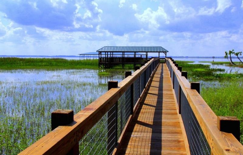 Central Florida Everglades