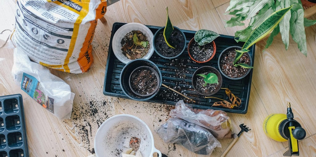Plants