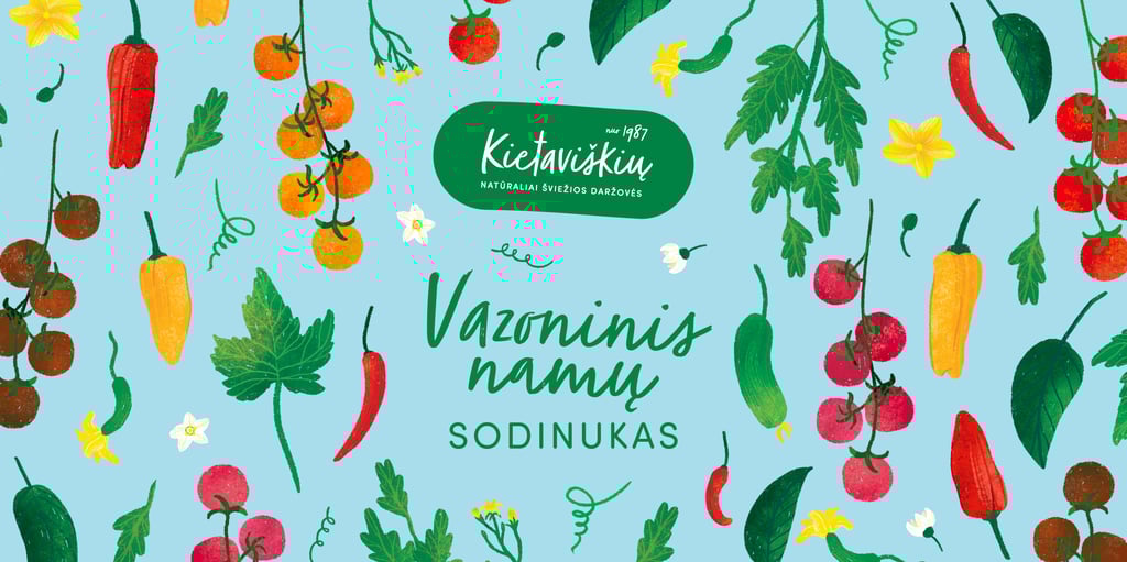 Kietaviškių vazoninių augalų iliustracijos – stilizuoti pomidorai, paprikos, agurkai ir čili viename kadre.
