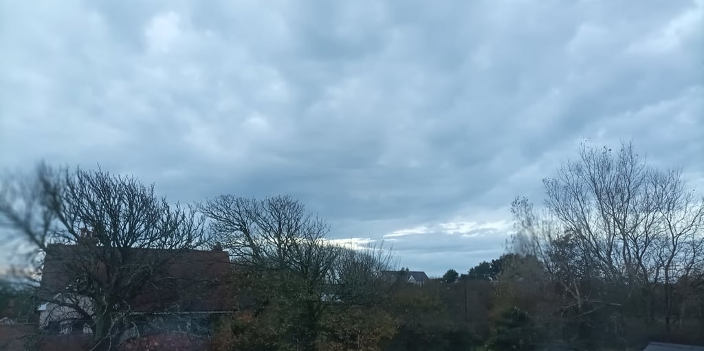 A rich palette of greys