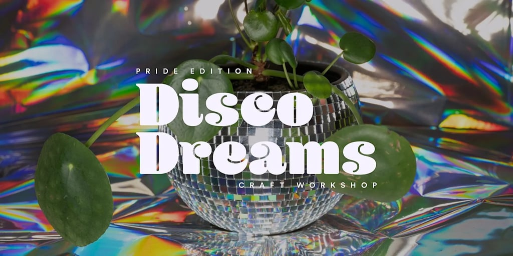 disco dreams