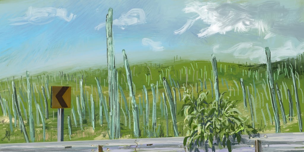 Mexico road trip - digital postcard
