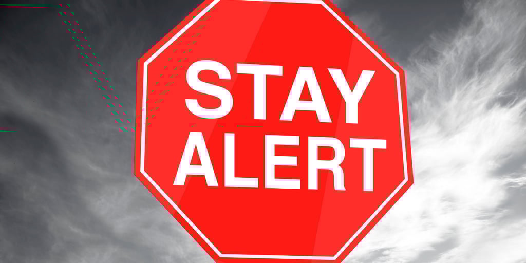 Urgent red flags requiring immediate advocacy action."]