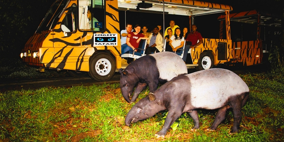 Bali Safari Night Safari