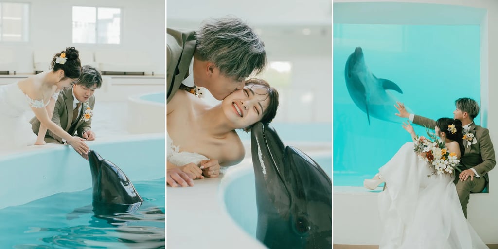 ノアドルフィンドームで新郎新婦がイルカとふれあいながら撮影したフォトウェディングの様子｜堺市のニュースならサカイタイムズ