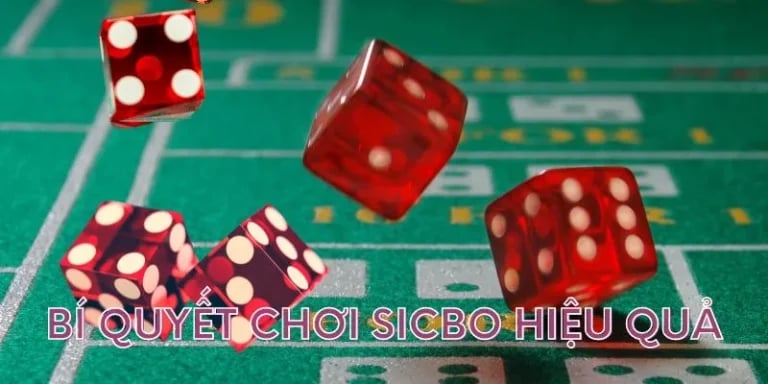 Bí quyết tham gia sicbo theo cầu bệt tại VN500