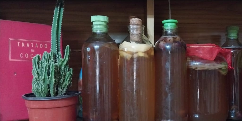 kombucha