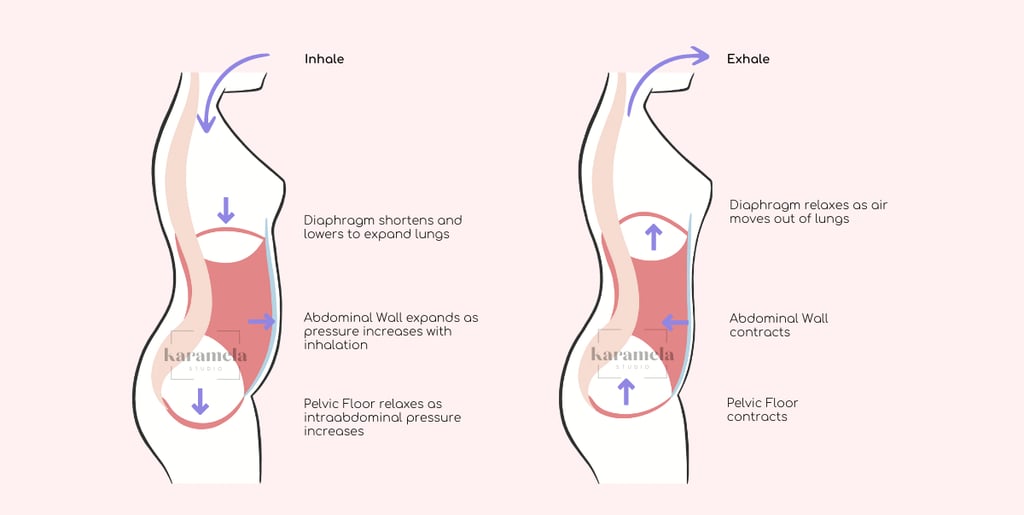 Diaphragmatic Breathing for Pelvic Health - Inhale and Exhale
