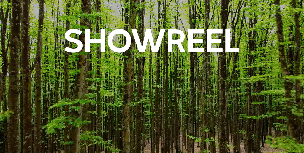 Image d'arbres bande démo vidéo studio bulbi