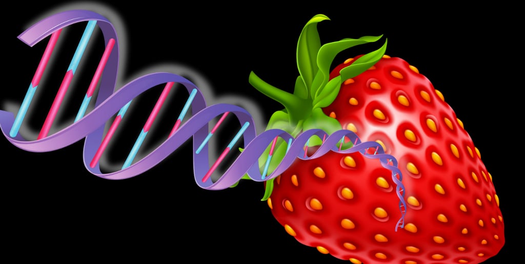 Strawberry and DNA emerging in 3D style.