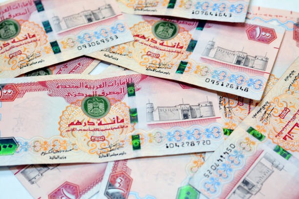 Arabic currency notes with green emblem, illustrating financial support through UAE government 