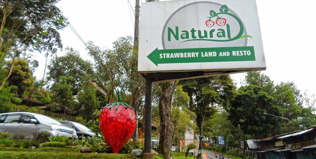 natural resto and strawberry